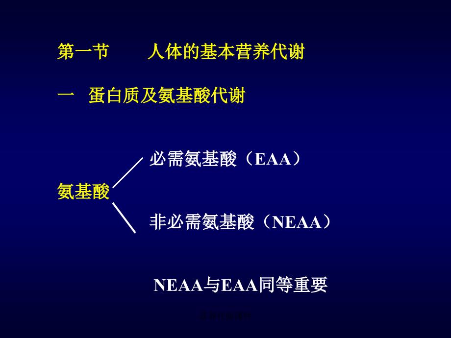 营养代谢课件_第4页