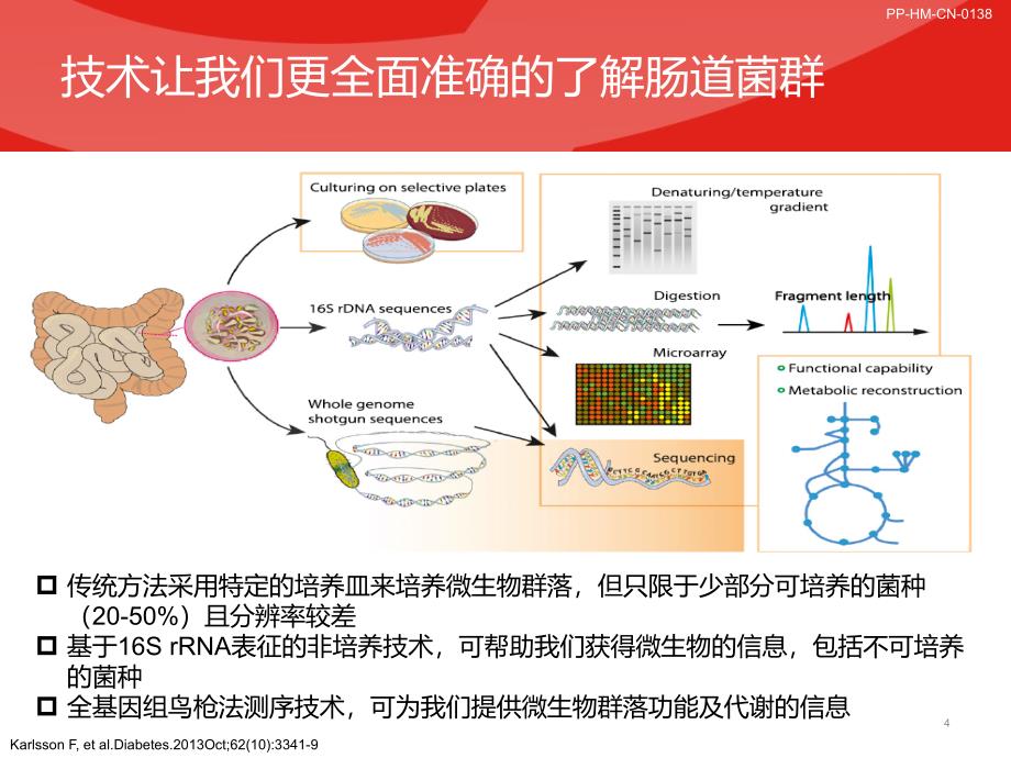 肠道菌群糖尿病及肥胖防治新靶点_第4页