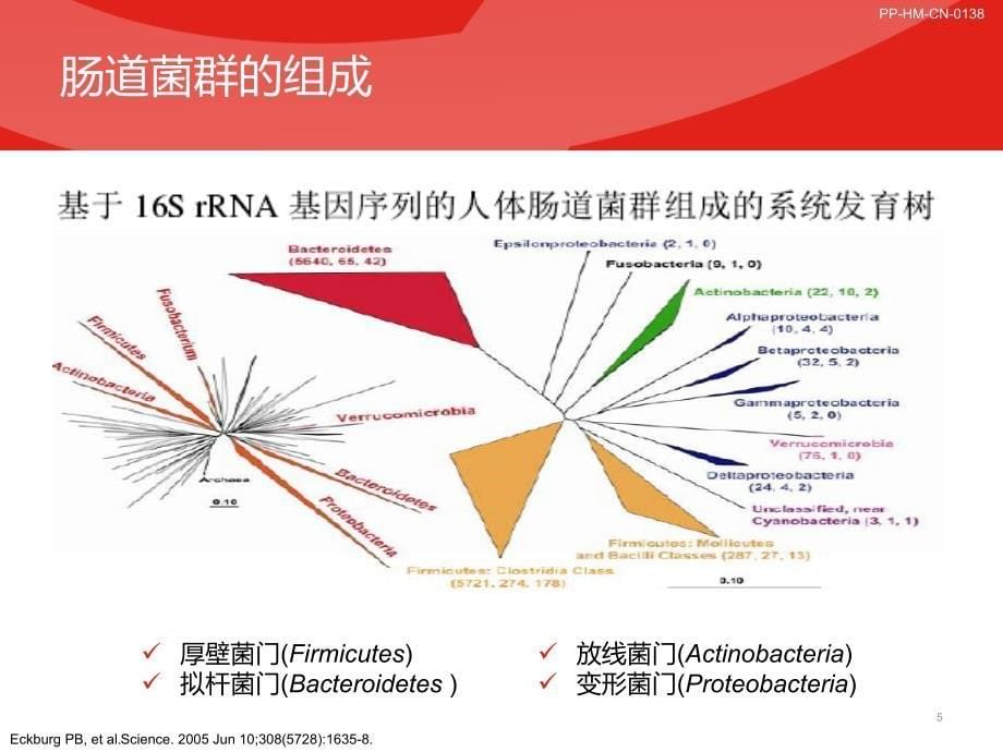 肠道菌群糖尿病及肥胖防治新靶点_第5页