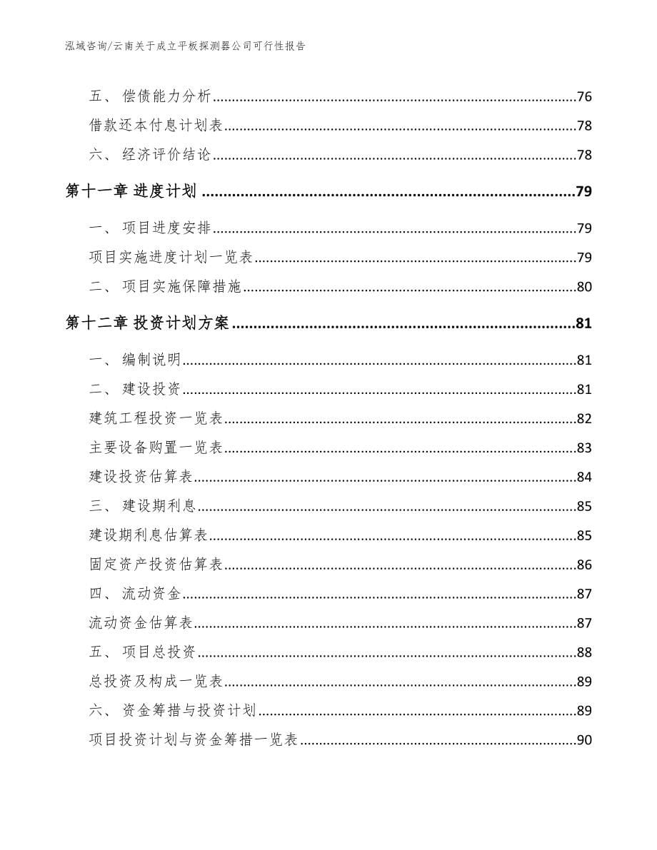 云南关于成立平板探测器公司可行性报告_模板范文_第5页