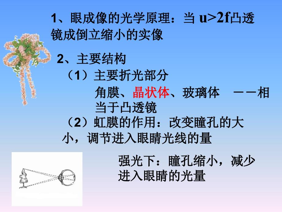 照相机与眼睛视力的矫正_第4页