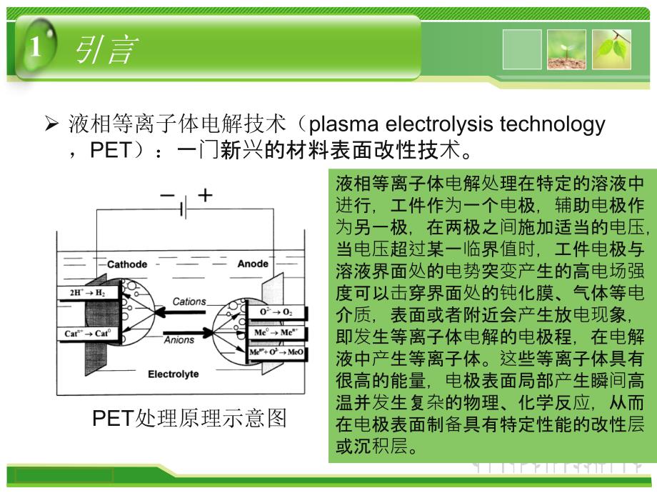 液相等离子电解技术的研究进展与应用.ppt_第3页