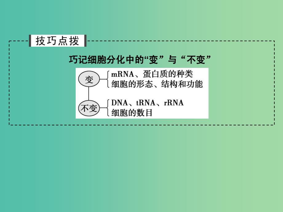 高考生物一轮复习 第4单元 细胞的生命历程 第13讲 细胞的分化、衰老、凋亡和癌变课件 新人教版.ppt_第4页