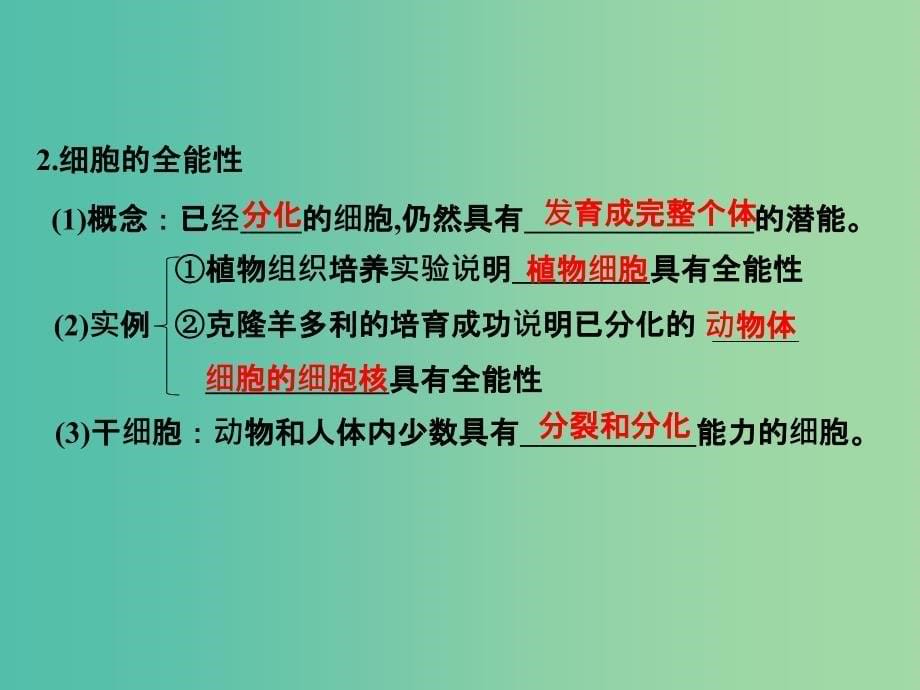 高考生物一轮复习 第4单元 细胞的生命历程 第13讲 细胞的分化、衰老、凋亡和癌变课件 新人教版.ppt_第5页