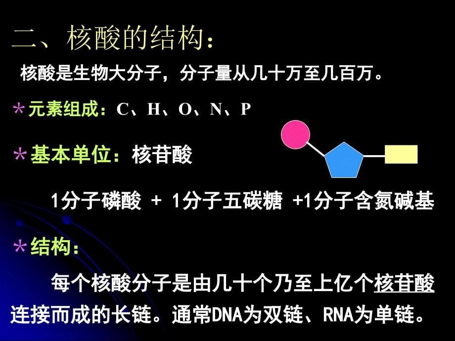 2.3遗传信息的携带者—核酸课件林映玉_第5页