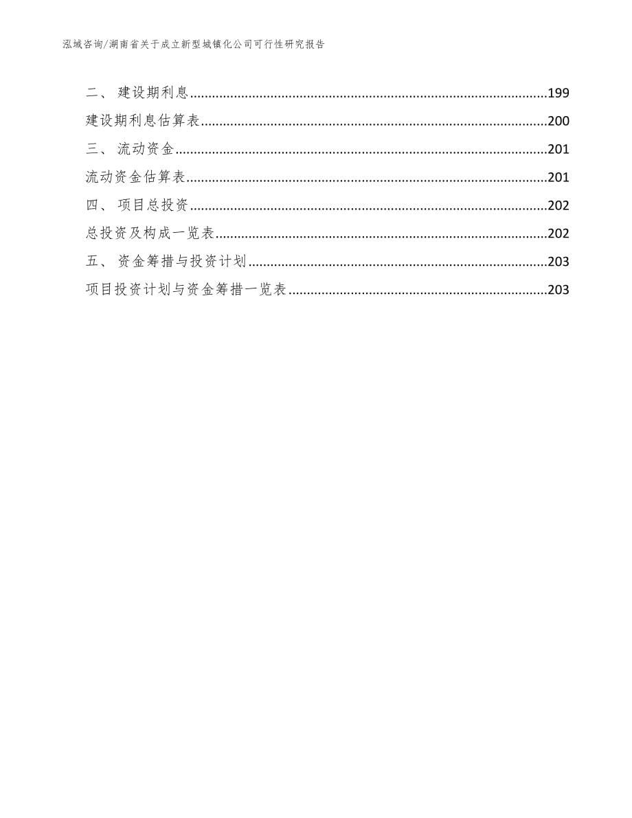 湖南省关于成立新型城镇化公司可行性研究报告参考模板_第5页