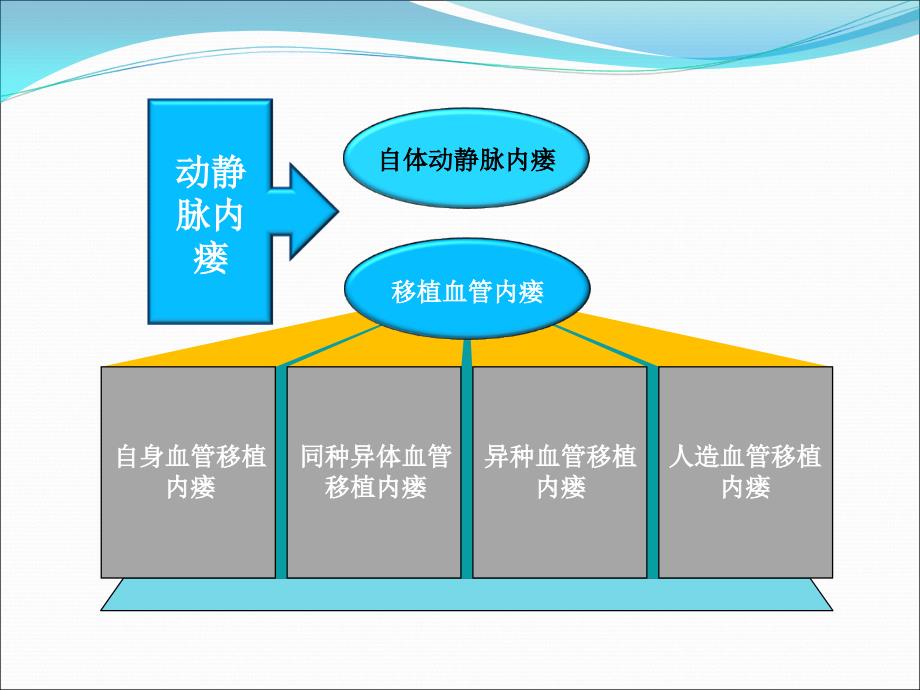 动静脉内瘘课件ppt_第3页