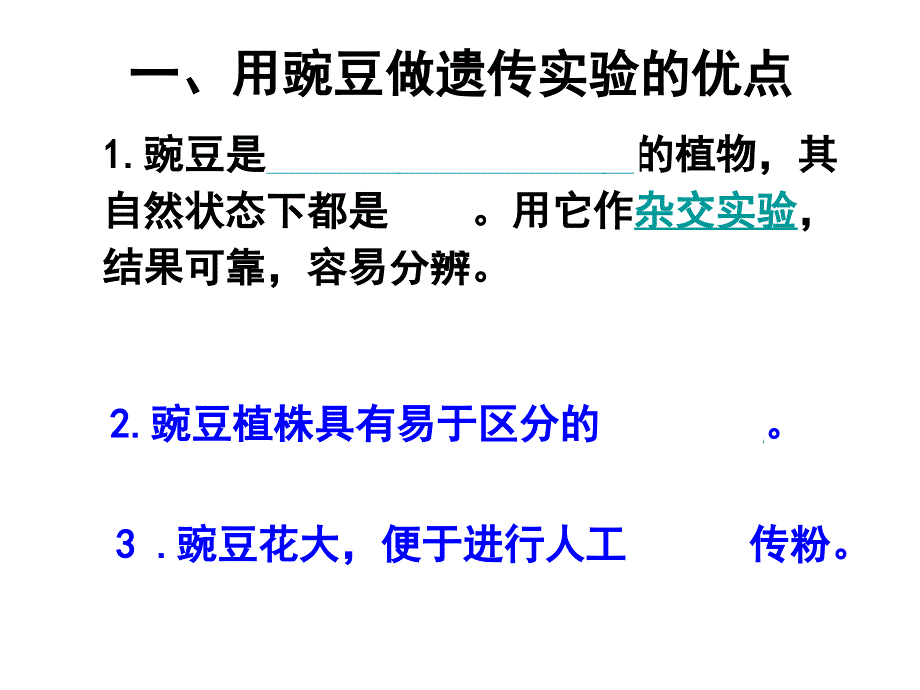 一轮复习课件基因的分离定律_第2页