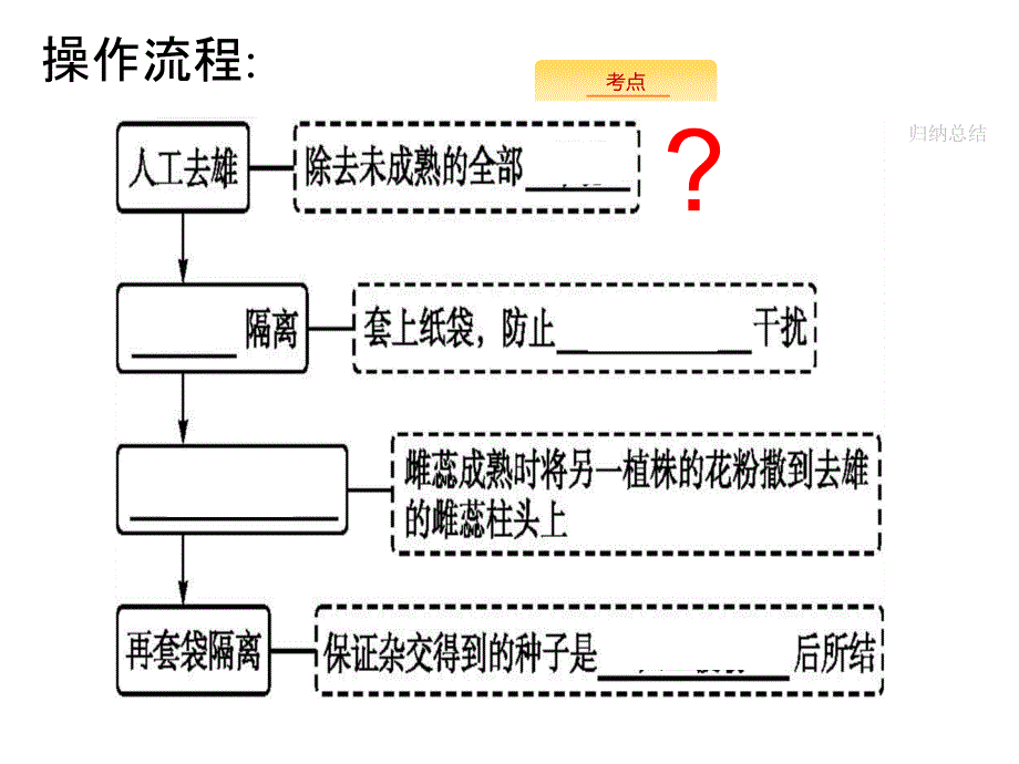 一轮复习课件基因的分离定律_第4页