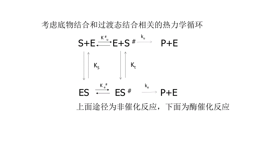 酶催化中过渡态稳定学说课件_第4页