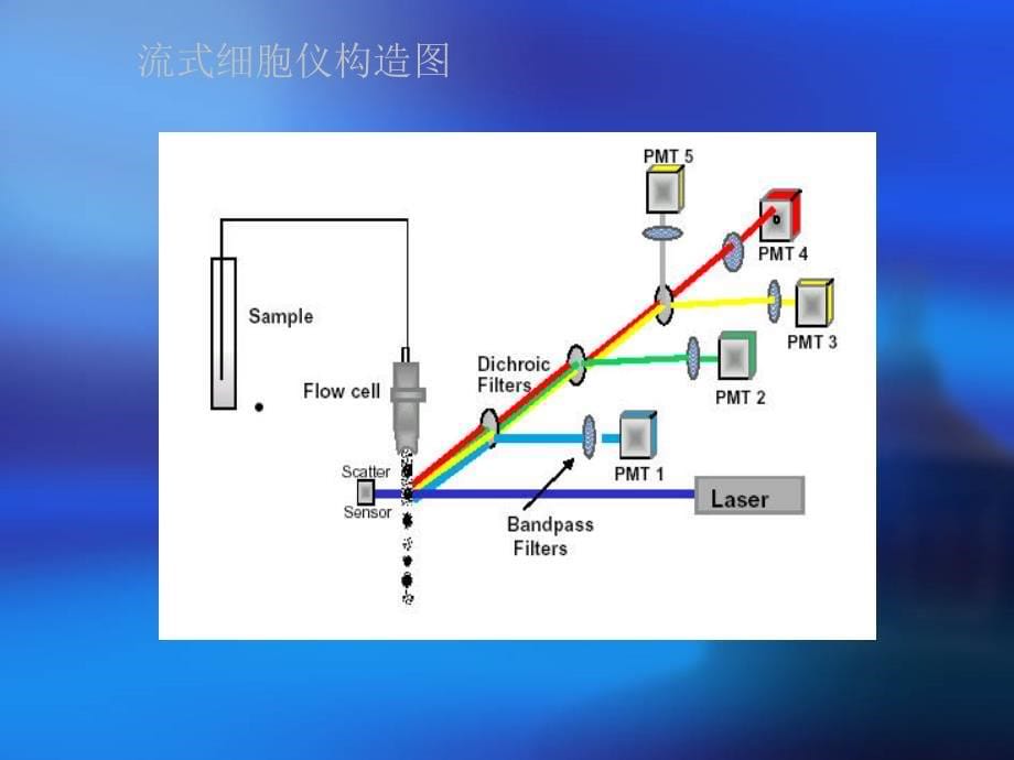 流式细胞术原理及应用_第5页