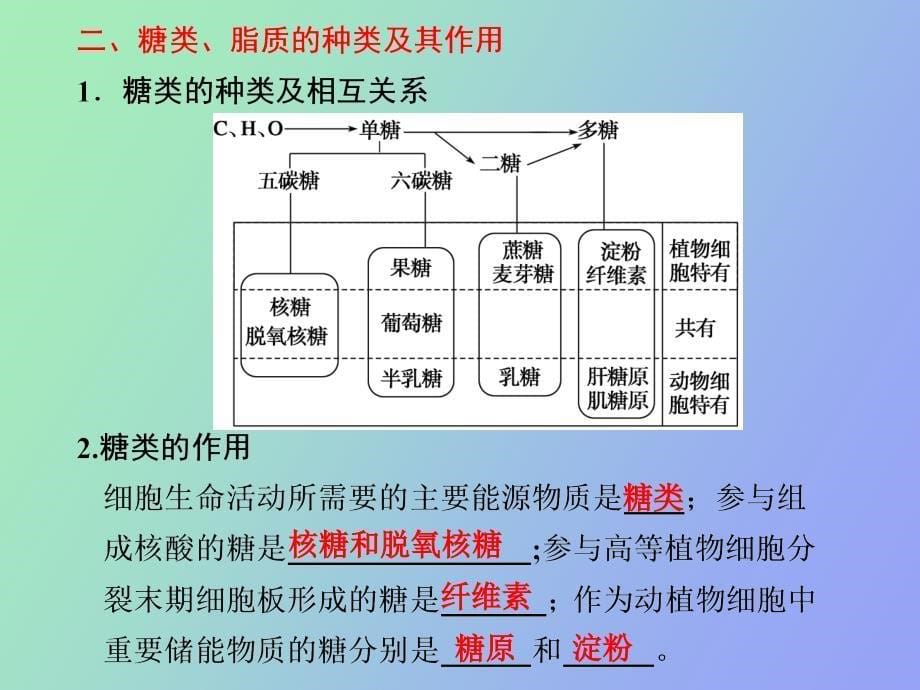 部分专题一第一讲细胞的分子组成_第5页