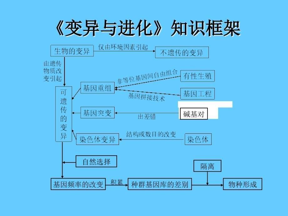 变异与进化教材分析_第5页