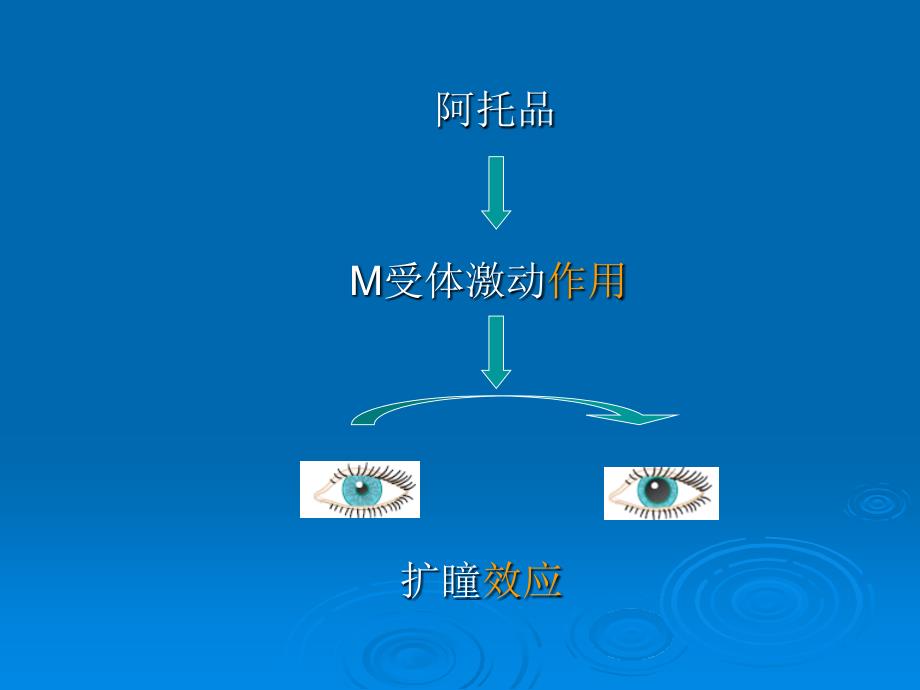 临床药物治疗学 第三章 药物治疗的临床药理学基础_第4页