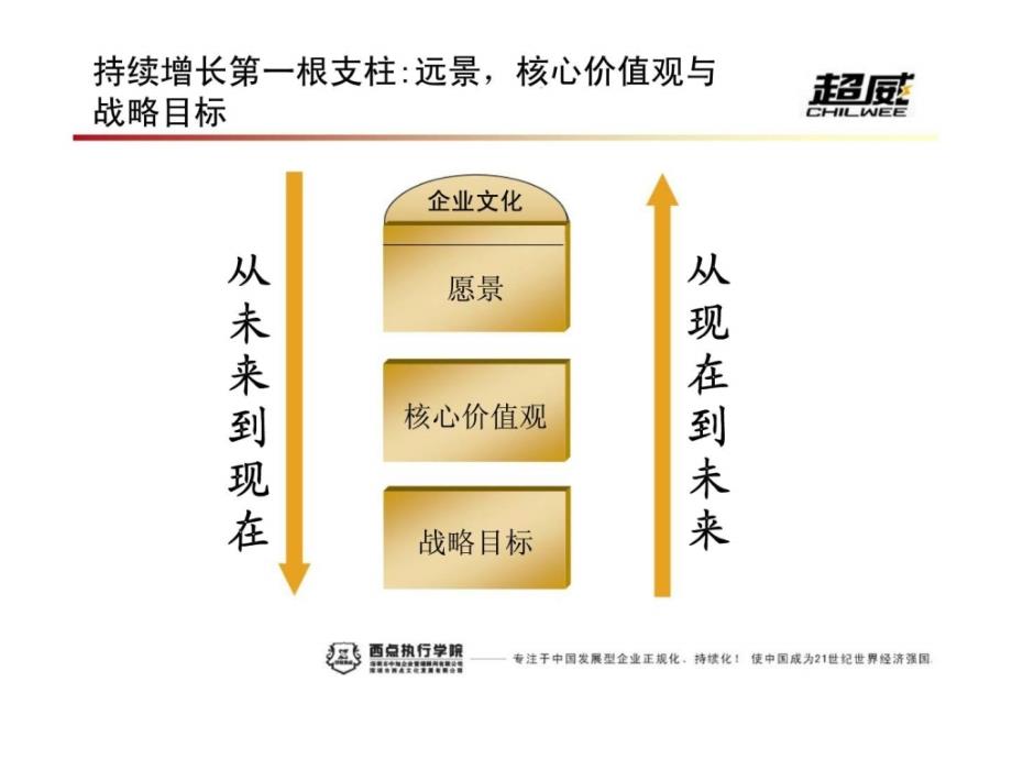 超威集团五年战略梳理_第4页