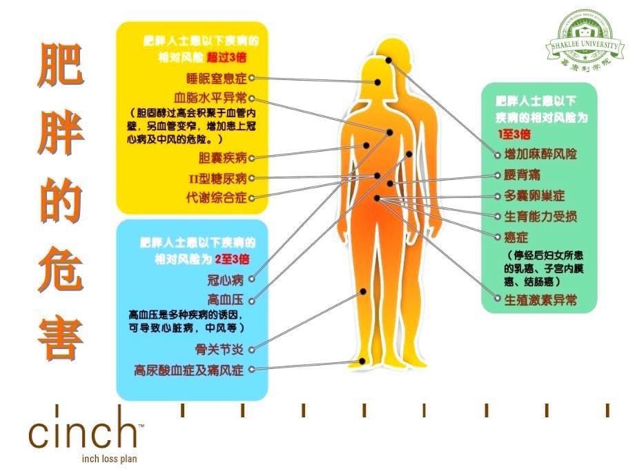 纤奇计划—嘉康利减重不反弹_第5页