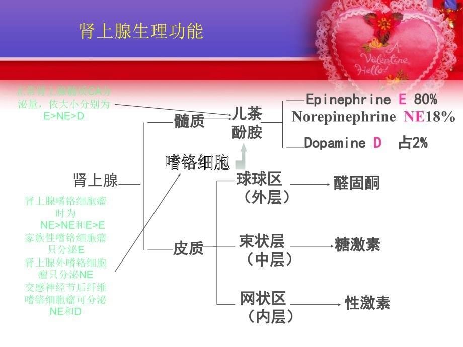 嗜络细胞瘤围手术期管理ppt课件_第5页