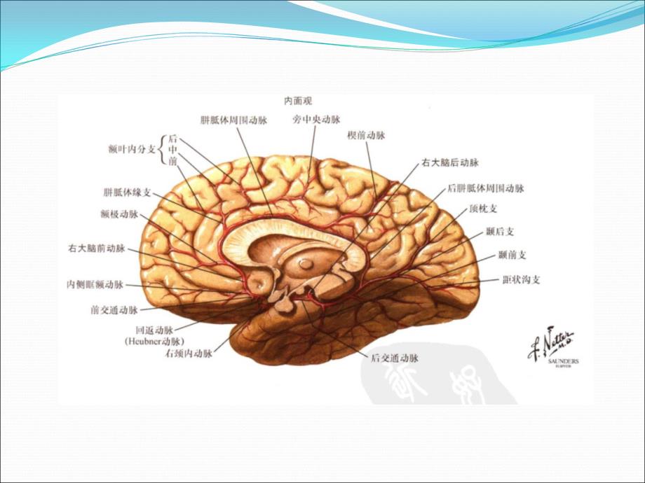 脑梗死责任血管分析_第3页