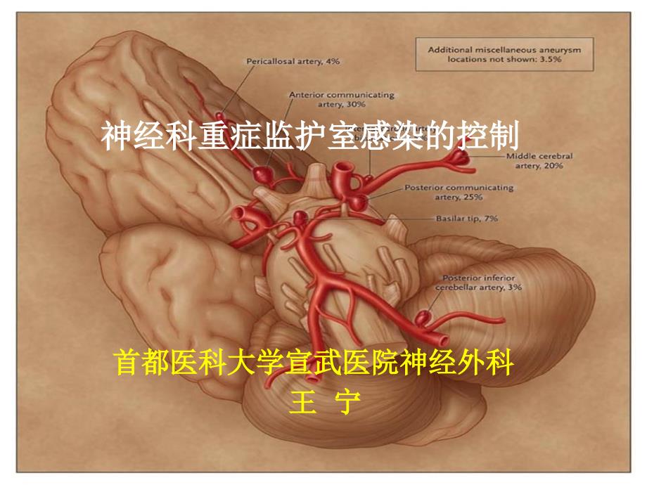 神科重症监护室感染的控制王宁_第1页