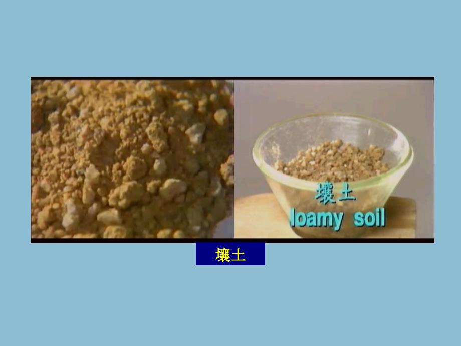 冀教版五年级科学上册课件土壤与植物的生长1_第4页