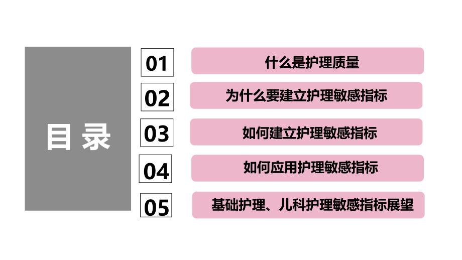 儿科护理敏感指标的构建.ppt_第2页