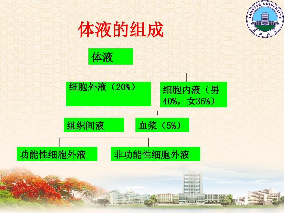 三章节外科病人体液失调课件_第3页