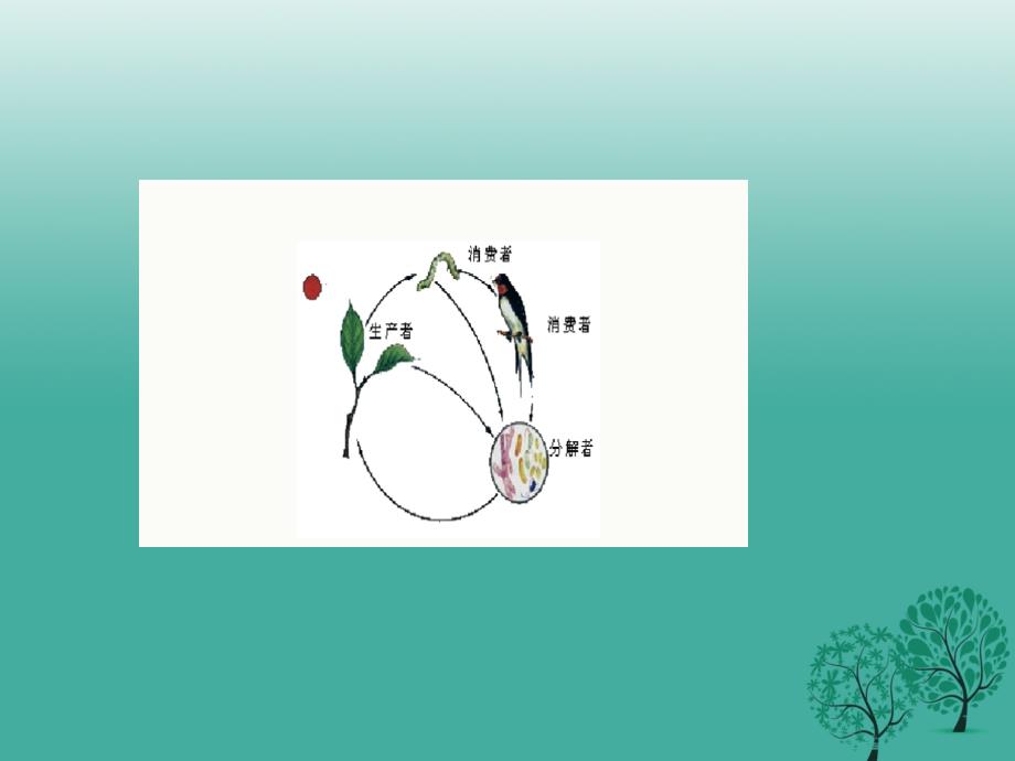 七年级生物上册第一单元第二章第二节生物与环境组成生态系统课件2新版新人教版_第4页