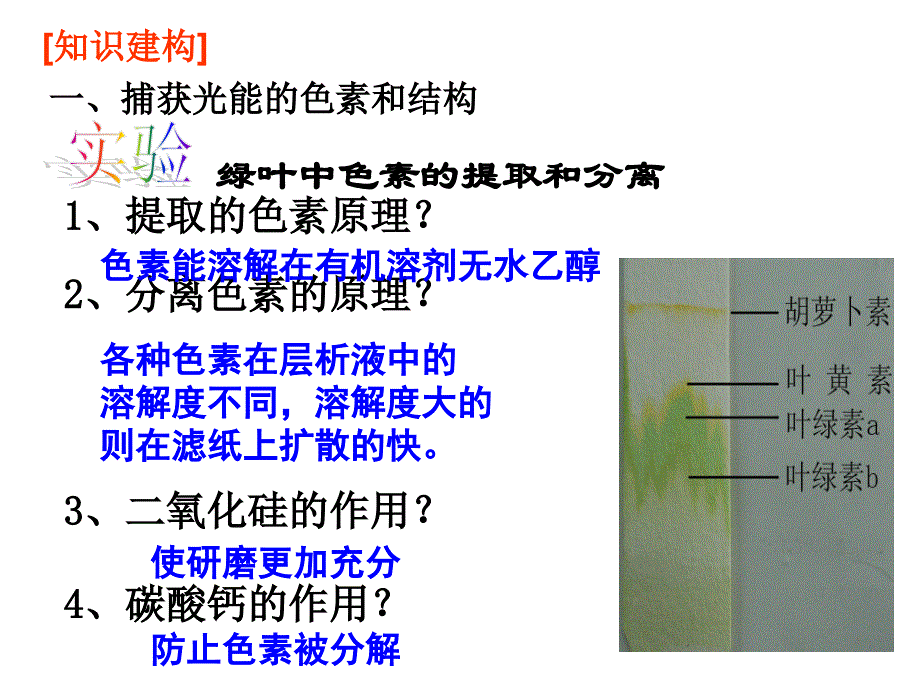 总复习：能量之源──光与光合作用_第3页