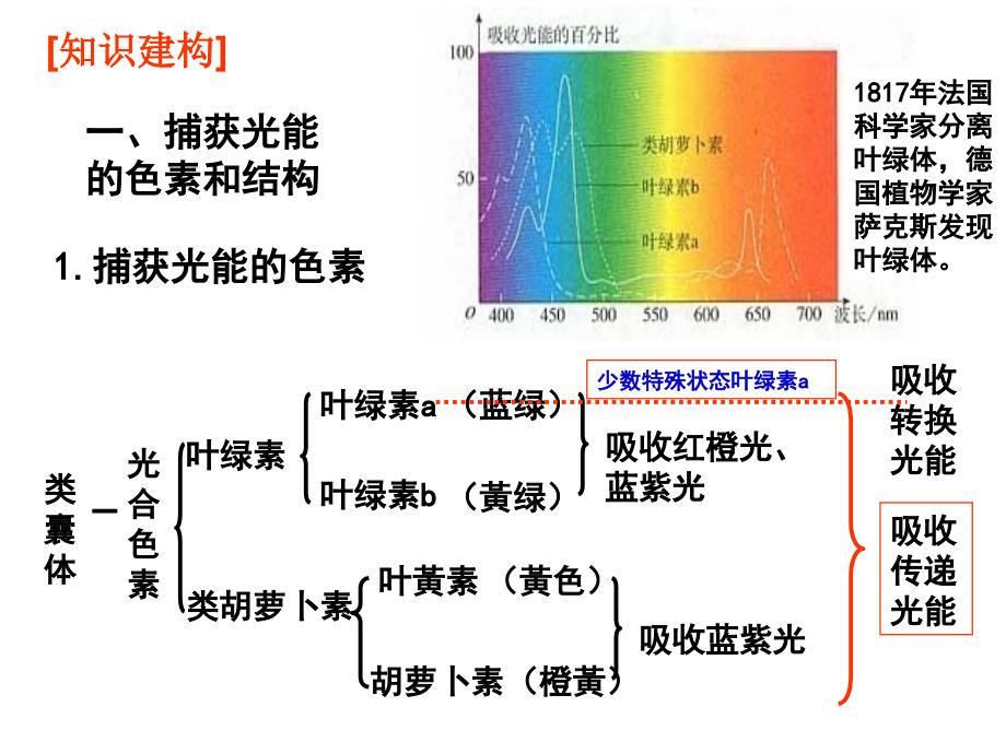 总复习：能量之源──光与光合作用_第4页