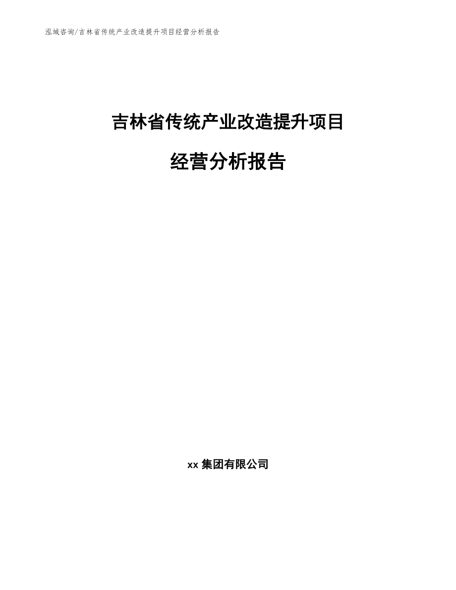 吉林省传统产业改造提升项目经营分析报告_第1页