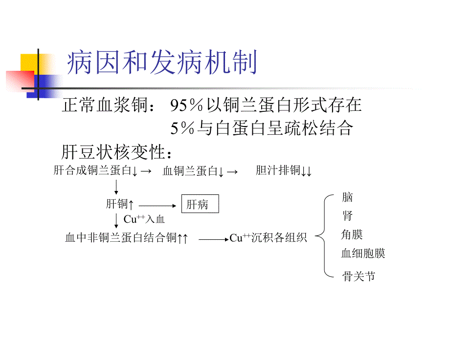 肝豆肝炎防治_第3页