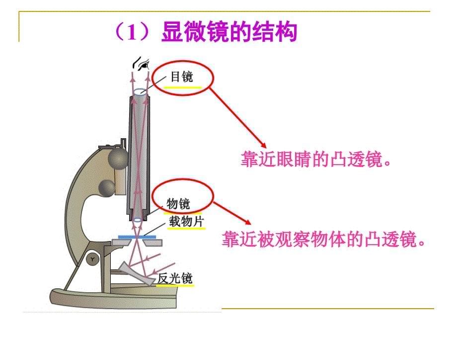 55显微镜和望远镜 (2)_第5页