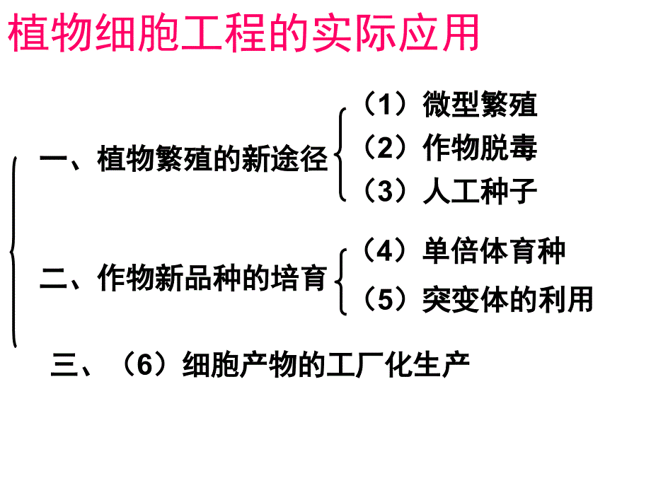 动物细胞培养和核移植ppt_第2页