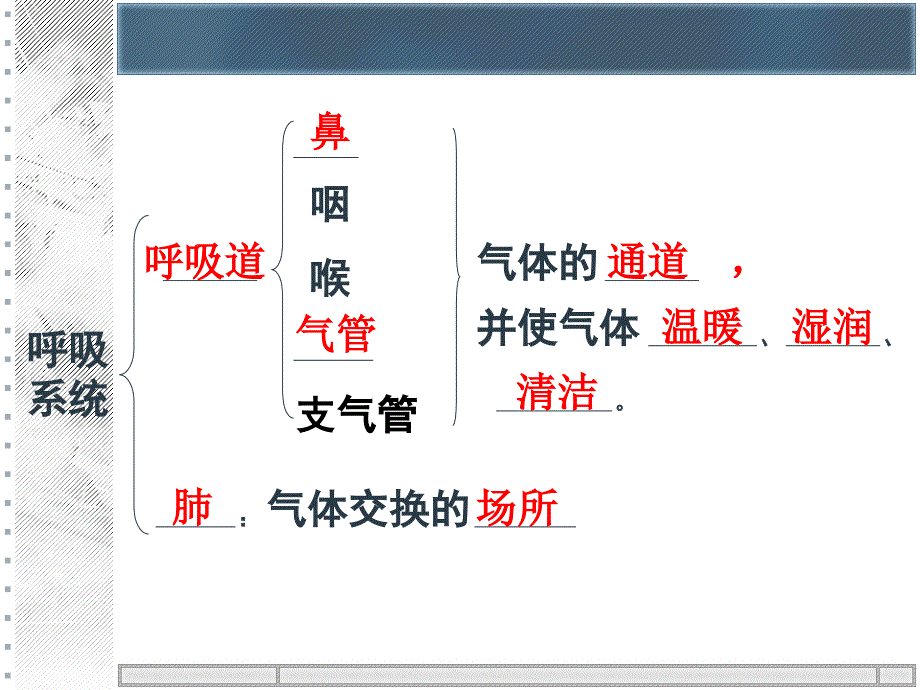 第三章人的呼吸_第3页