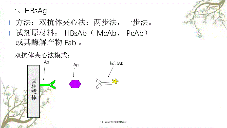 乙肝两对半检测中南京_第3页