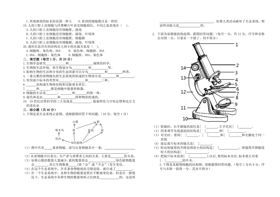 七年级上册生物-试卷_第2页