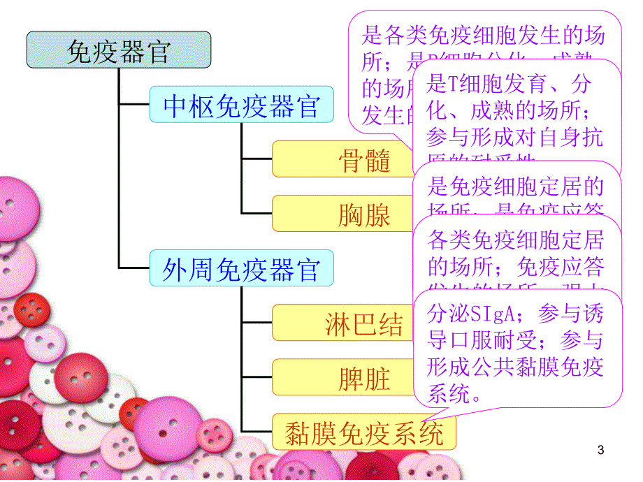 免疫细胞微生物与免疫学教学_第3页