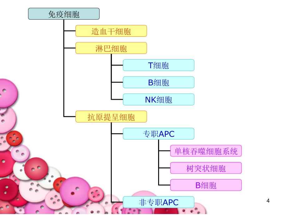 免疫细胞微生物与免疫学教学_第4页