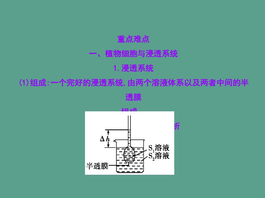 物质出入细胞的方式ppt课件_第4页