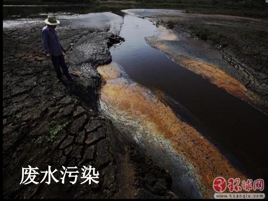 河北省平泉县第四中学七年级生物下册 7.3 拟定保护生态环境的计划课件 新人教版_第5页