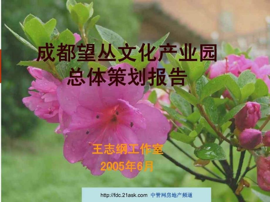 2005成都望丛文化产业园总体策划报告_第1页