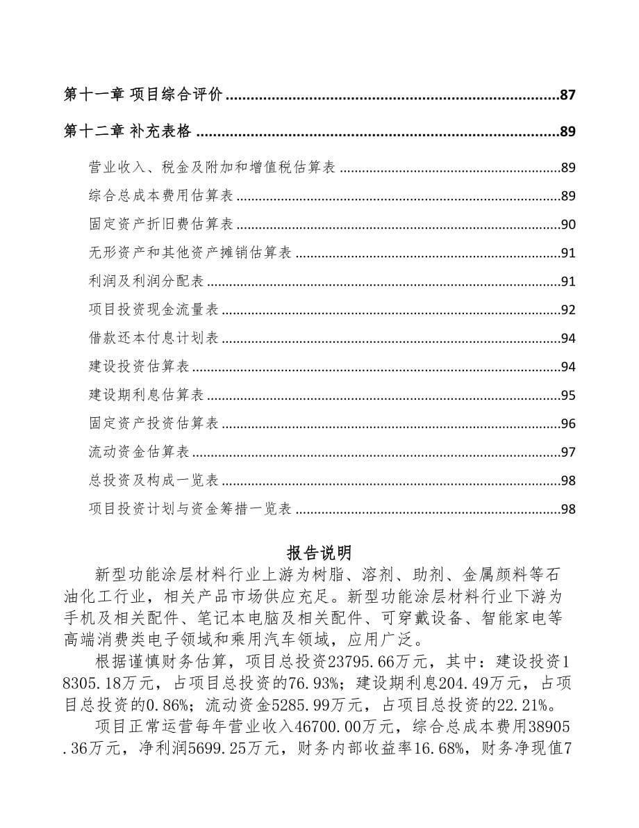 湖南功能涂层材料项目可行性研究报告(DOC 67页)_第5页