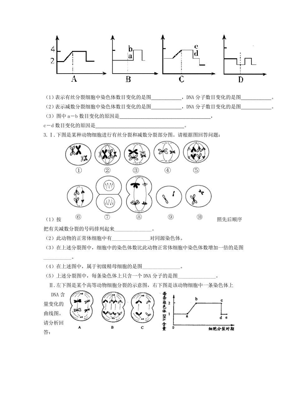 高中生物模块综合练习题（一）新人教版必修2.doc_第5页