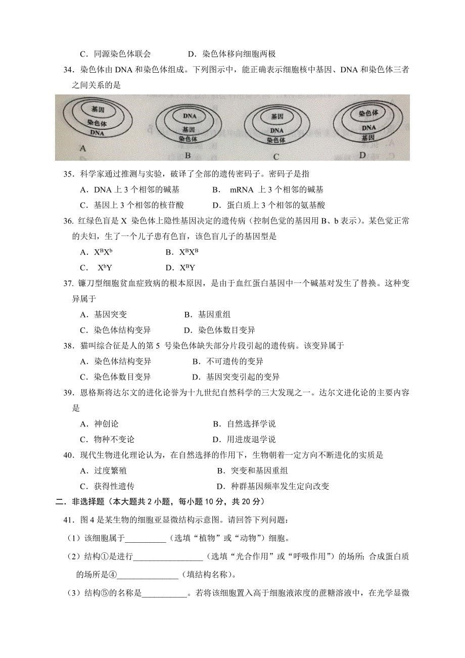 2019年湖北省普通高中学业水平合格性考试_第5页