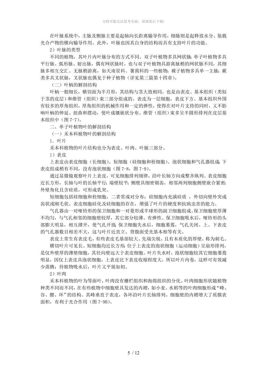 第七章叶的形态与结构WORD_第5页