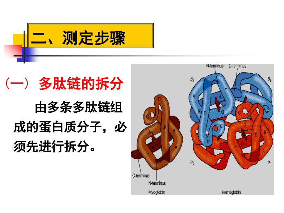 蛋白质测序PPT课件_第4页