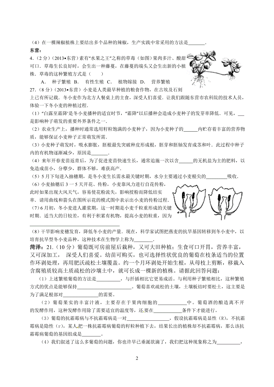 2013年各地中考生物试题绿色开花植物的一生(生)_第2页