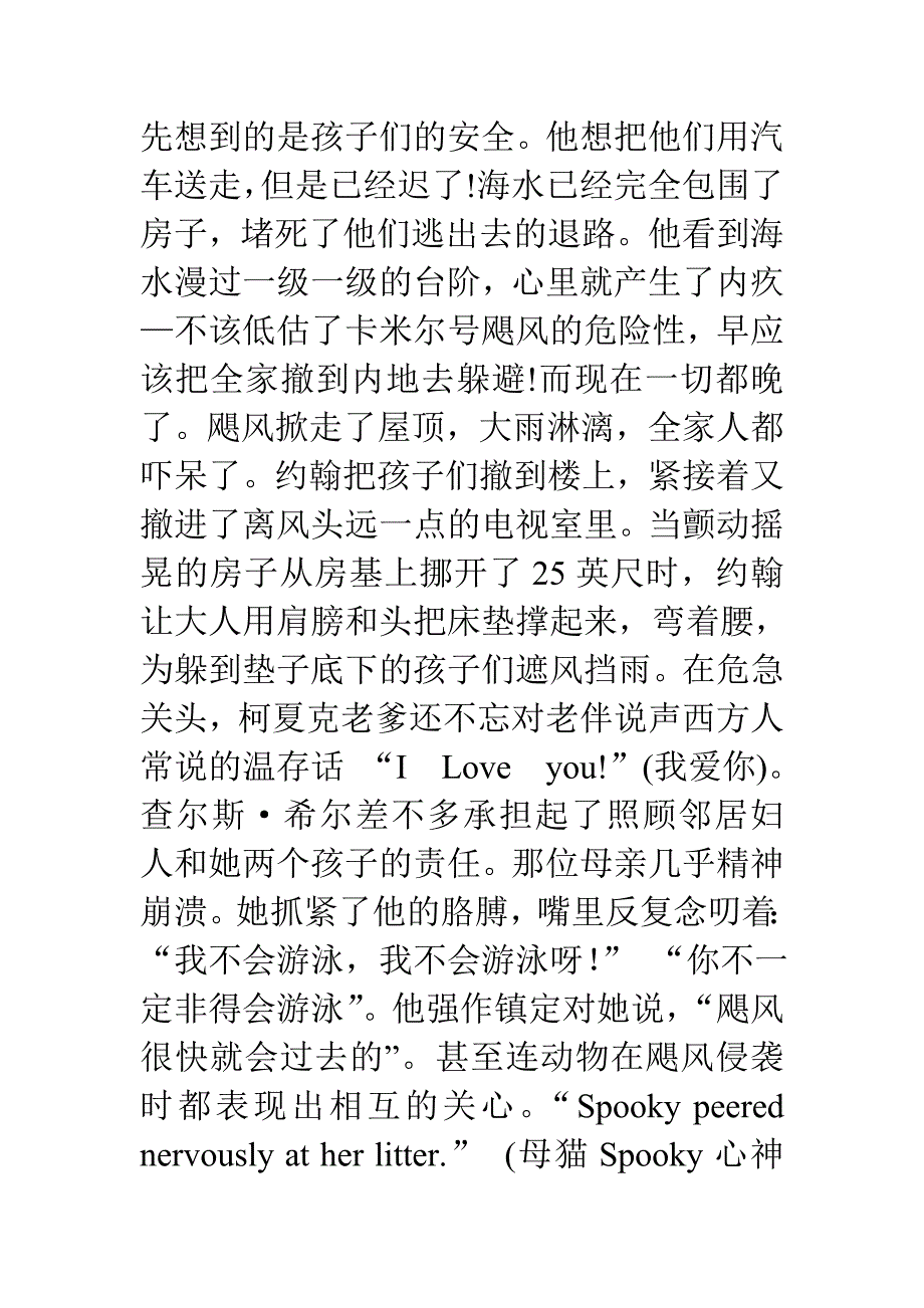 迎战飓风卡米尔的主题和表现手法.doc_第4页