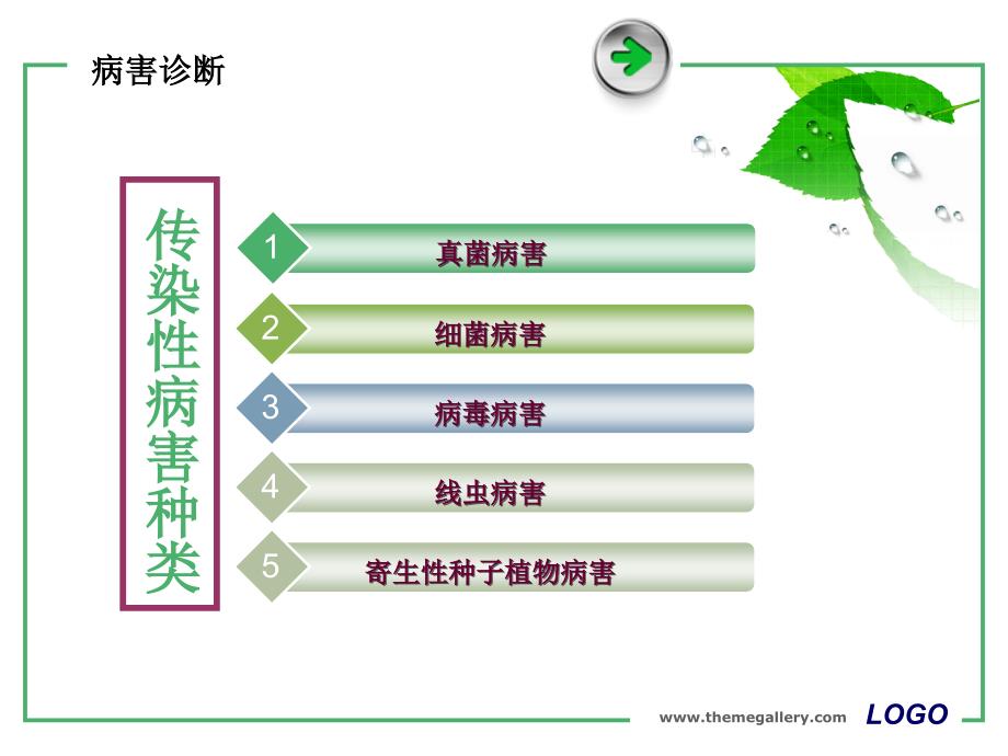 最新常见真菌病害的诊断ppt课件PPT课件_第2页