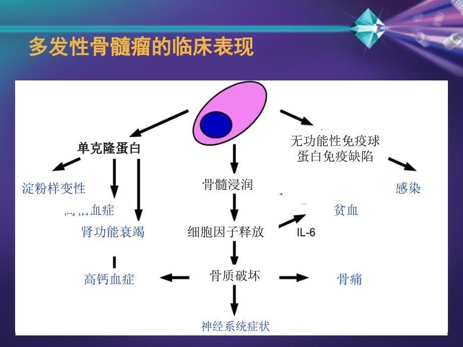 多发性骨髓瘤的发病与治疗概况_第5页